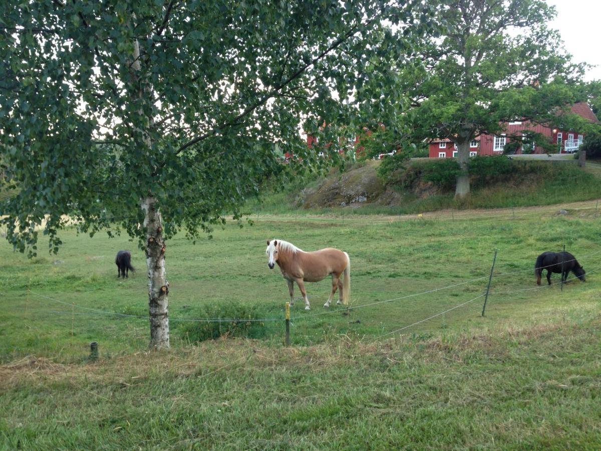 Yxningens Holiday Homes, Cottages And Camping Gusum Buitenkant foto